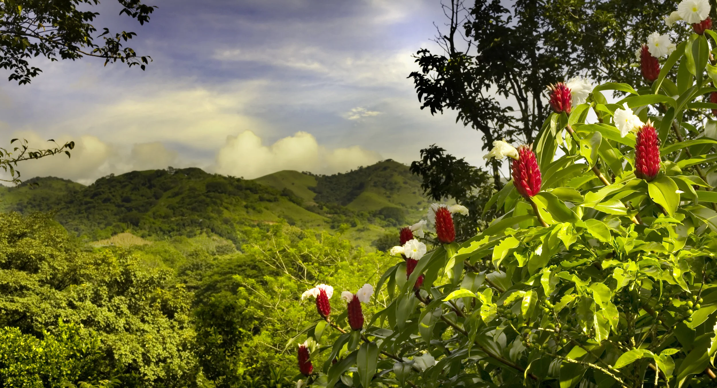 costarica_iStock-144368294.jpg
