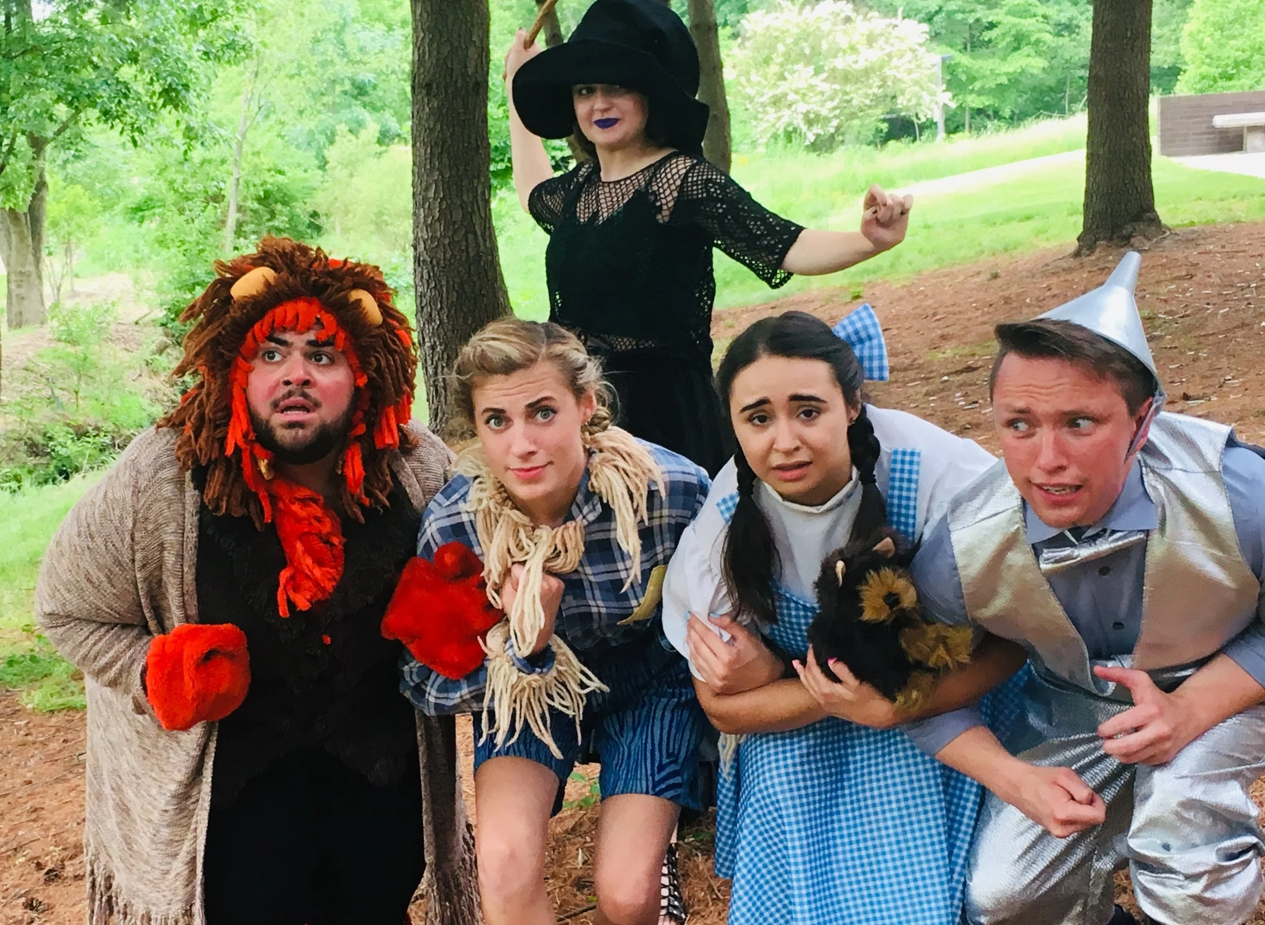 Wizard Of Oz Nexus Properties Wizard Of Oz Nexus Properties
