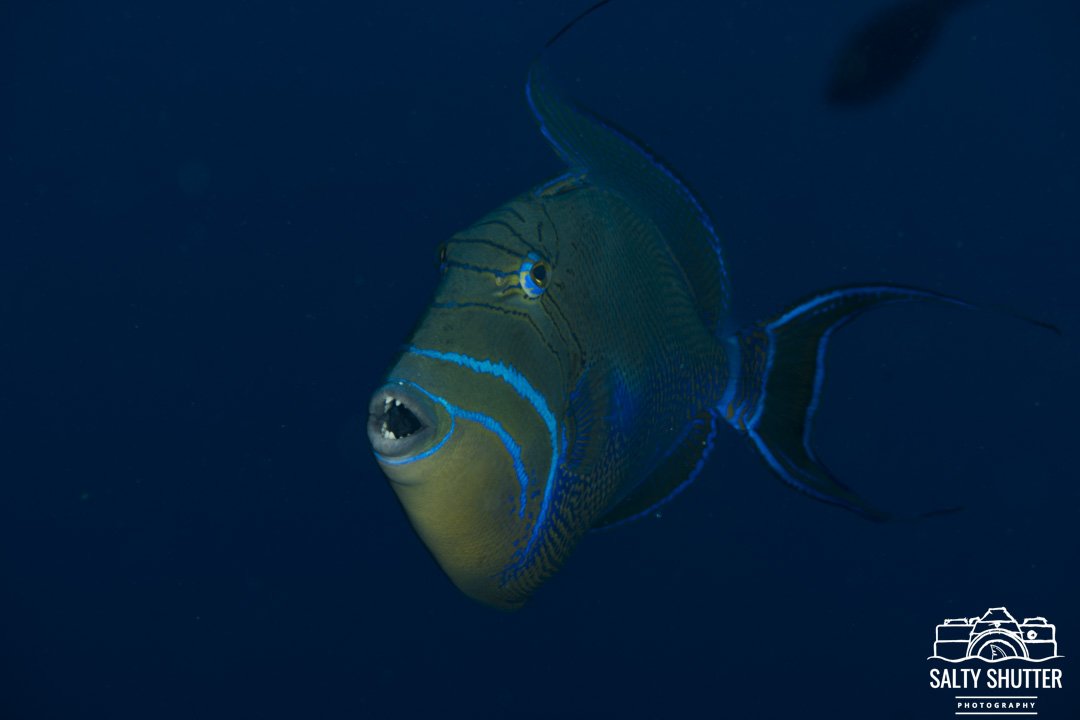20260430_BelowWater_39729.jpg