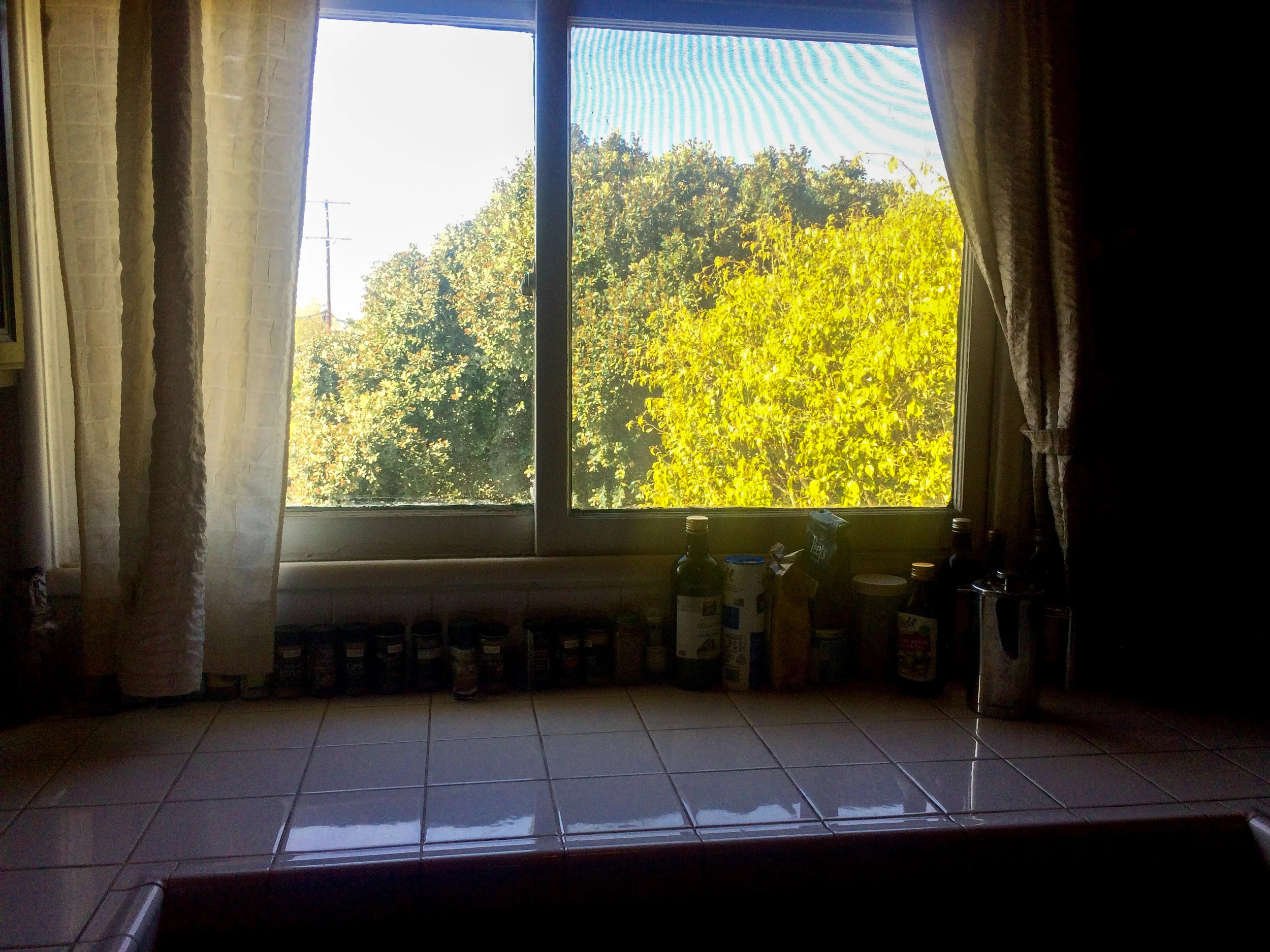 workspace 2.jpg