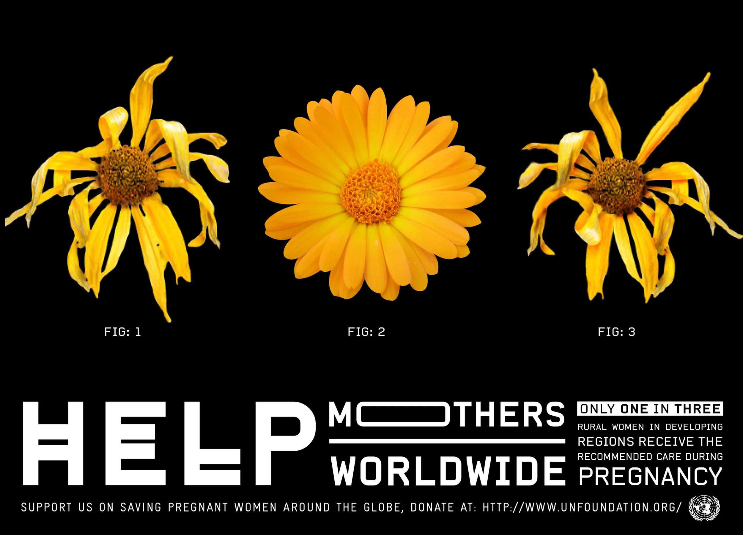 United Nations - Help Mothers Worldwide (2013)