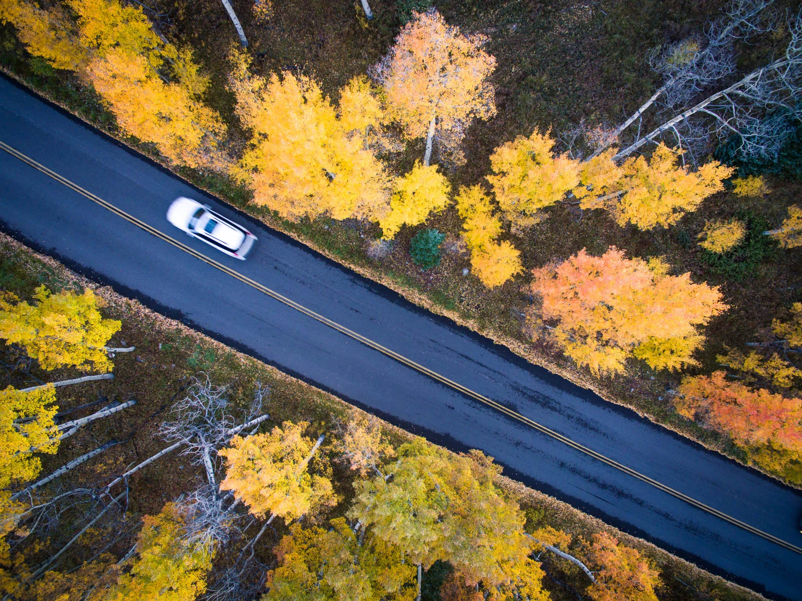 20160925-DJI_0028.jpg
