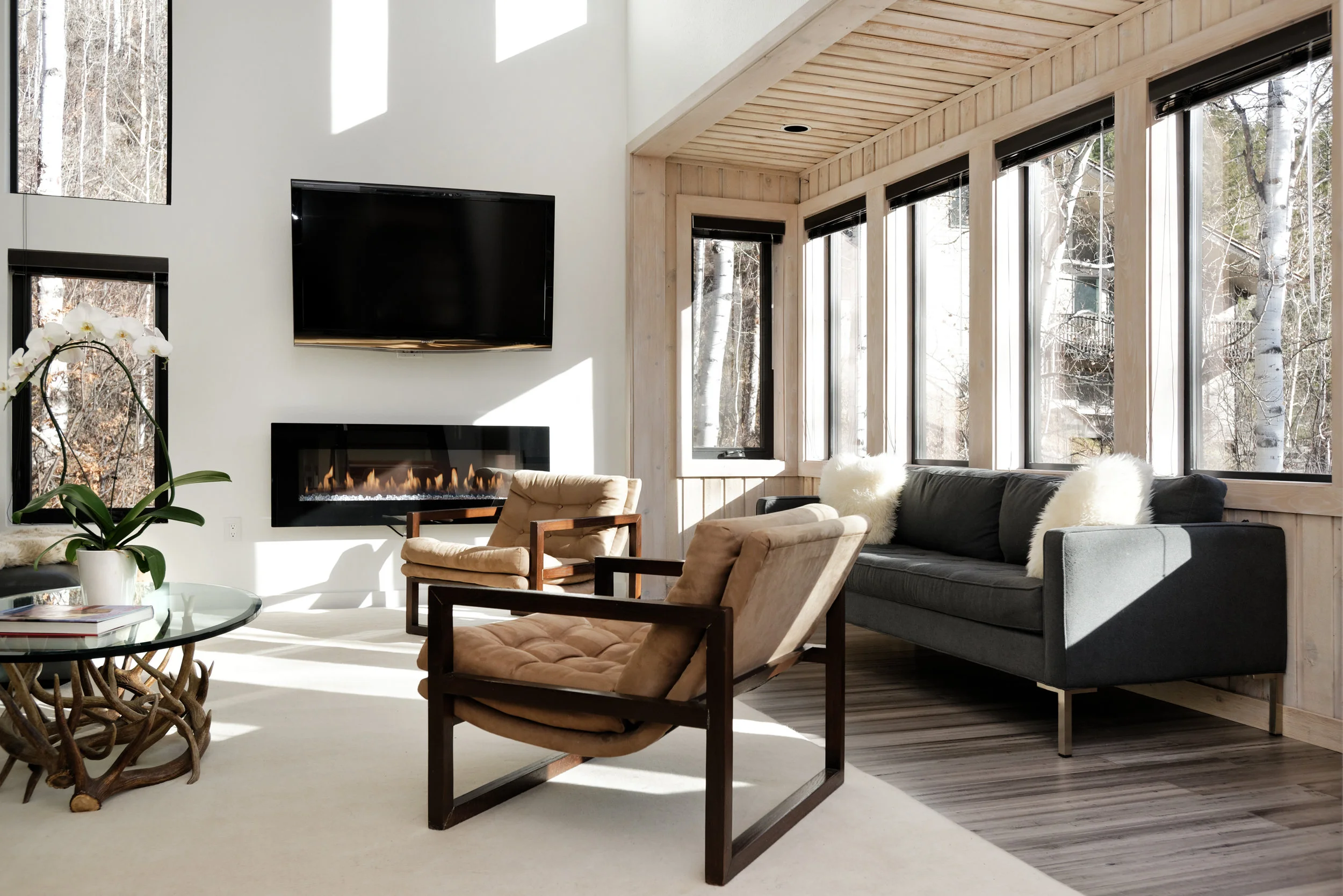 PetrWiese_MHPAspenRealEstate004.jpg