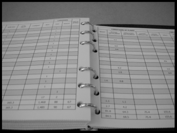 Figure 1. Printed electronic logbook page