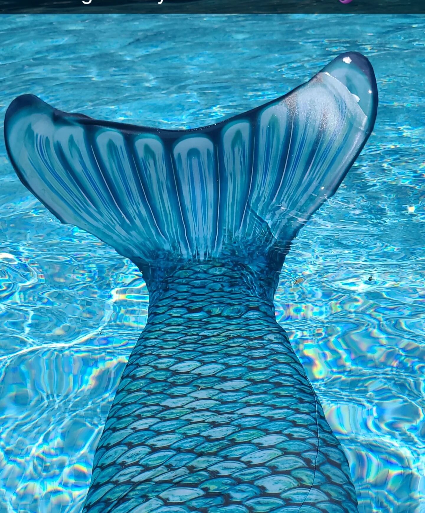 Beautiful summer solstice here in West Michigan today 
☀️ 💙💦🧜&zwj;♀️
#mittenmermaid