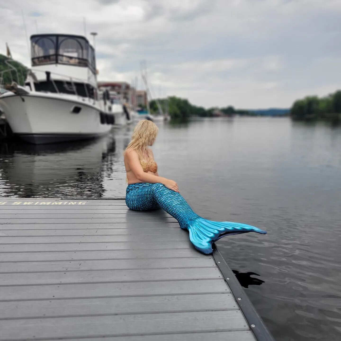 Shello friends! I've been a bit MIA thats because I was swimming to New York! 🏊&zwj;♂️ I have safely made it and resting my fin on this beautiful dock 😍

Here you can follow me on all my New York mermaid adventures! 🧜&zwj;♀️ 🌆 &hearts;️ @midhudso