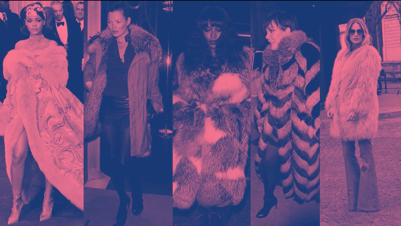Fur Party Blocker nova capa.png