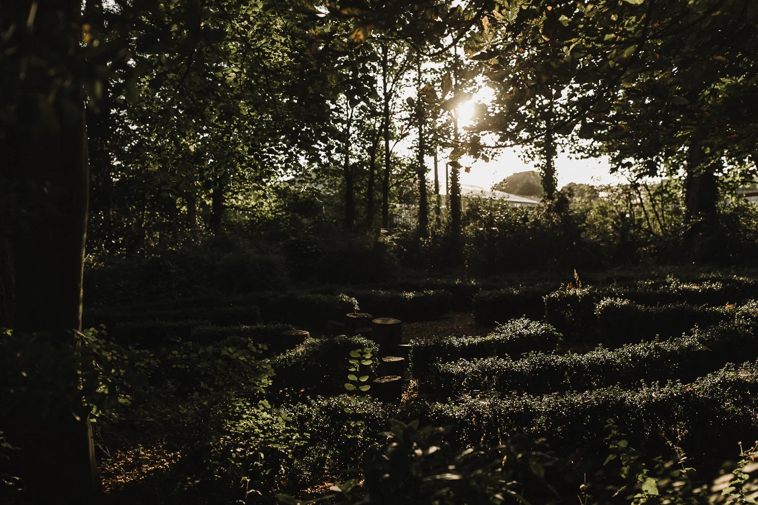 Margate_kent_seaside_fernery_greenhouse_wedding_0080.jpg