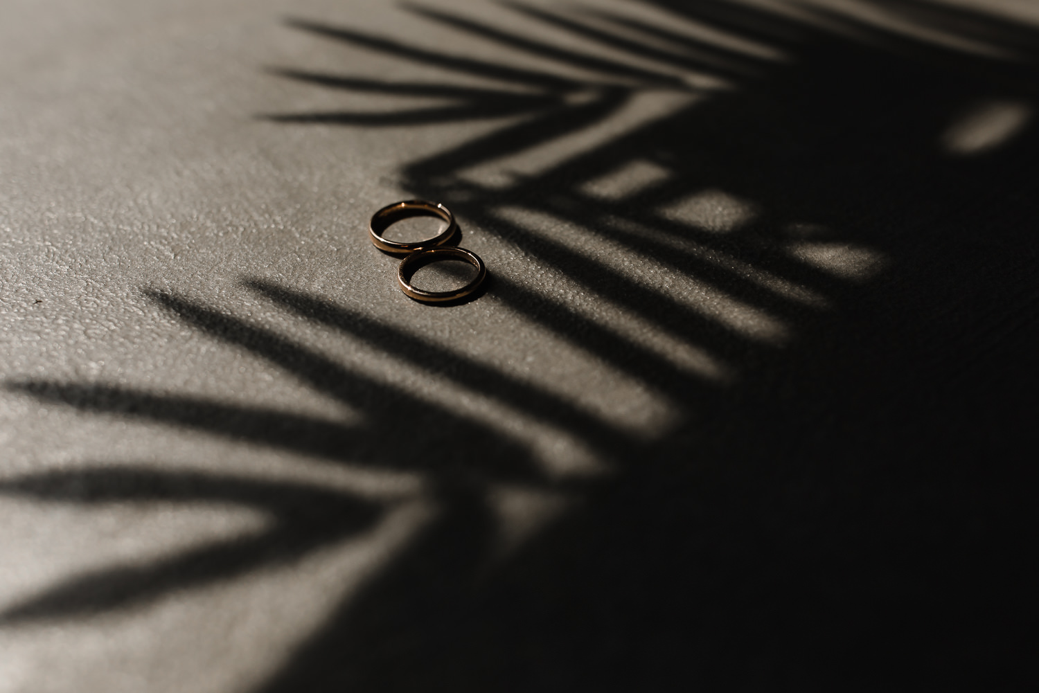 Spring_Somerset_House_London_Wedding_012.jpg