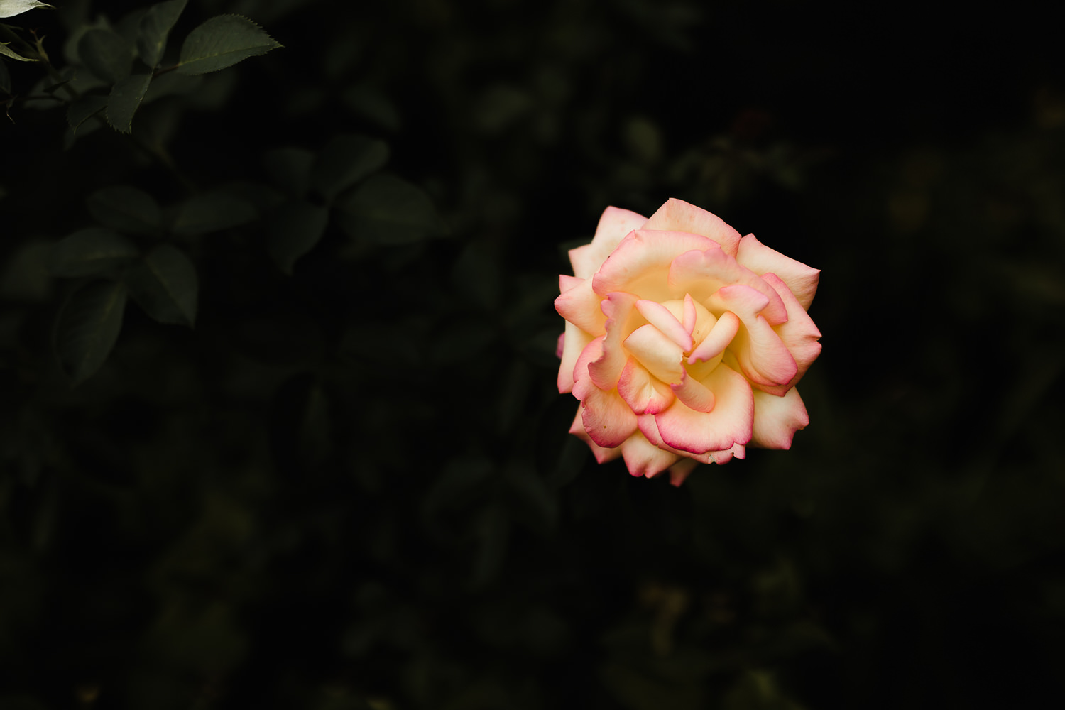 France-Destination-Wedding-Chateau-la-Blérétie-Best-Of-Holly-Jack-2.jpg