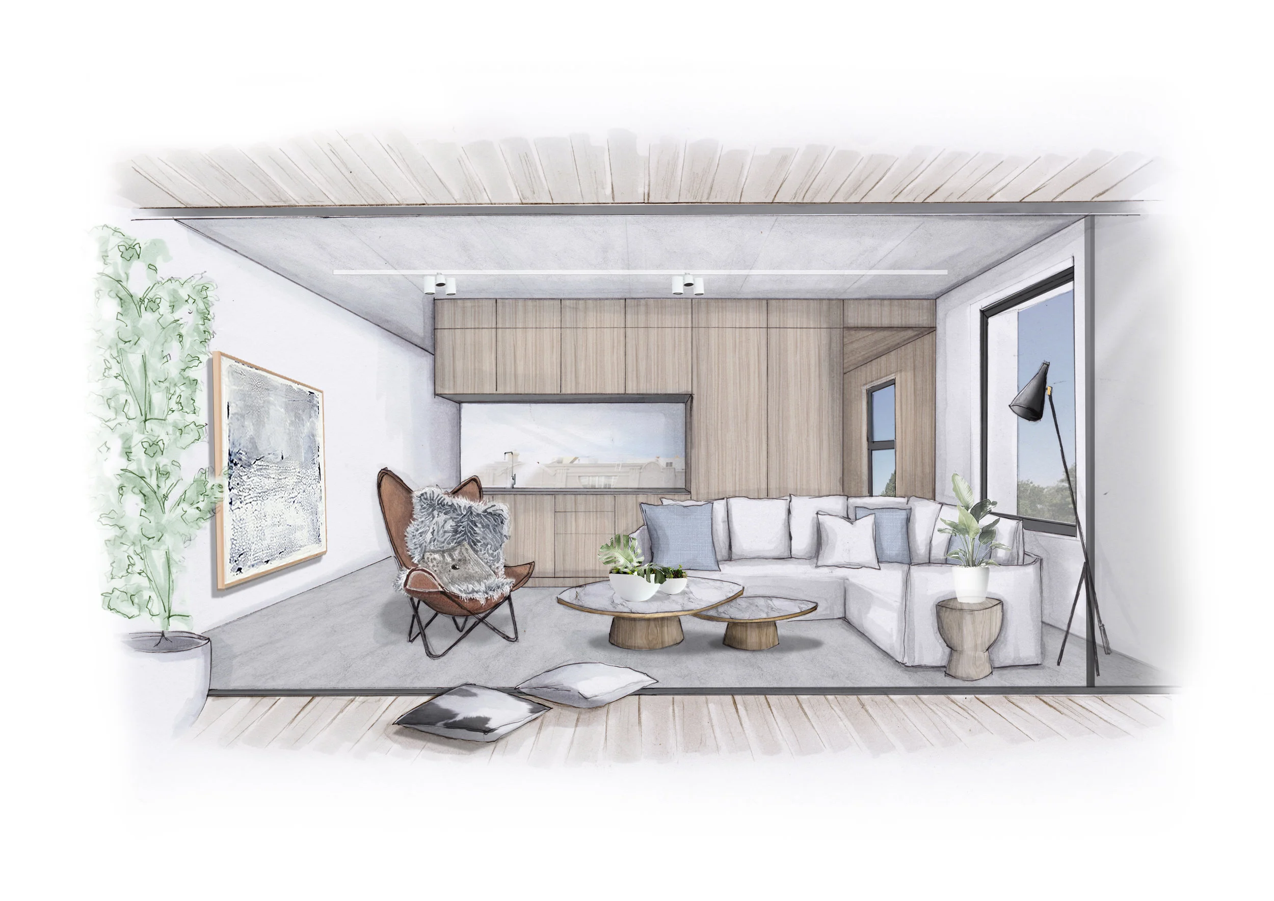 commerical design &nbsp;&nbsp;/ &nbsp; illustrated for poco designs&nbsp;