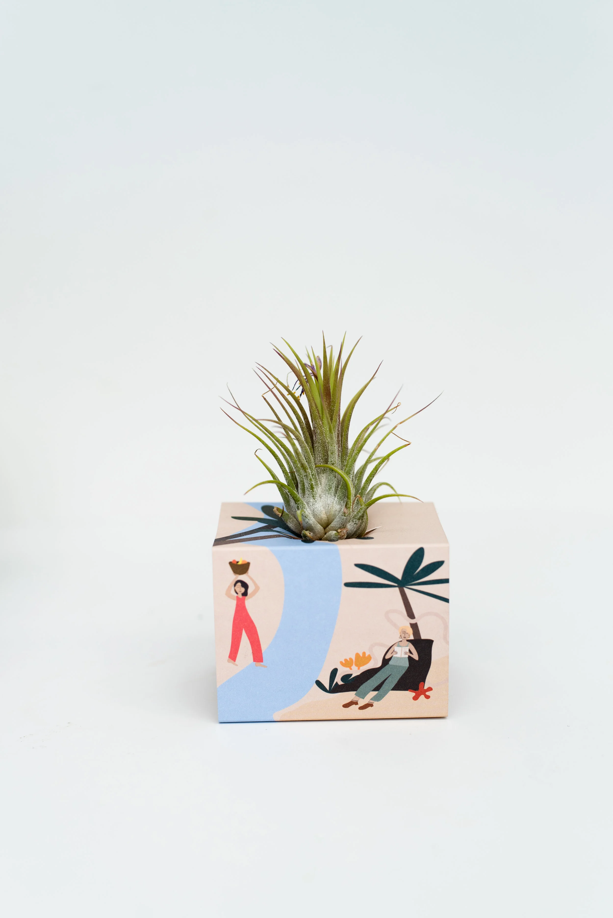 BrittanyByrne-MothersDay-AirplantStands-women--9445.jpg