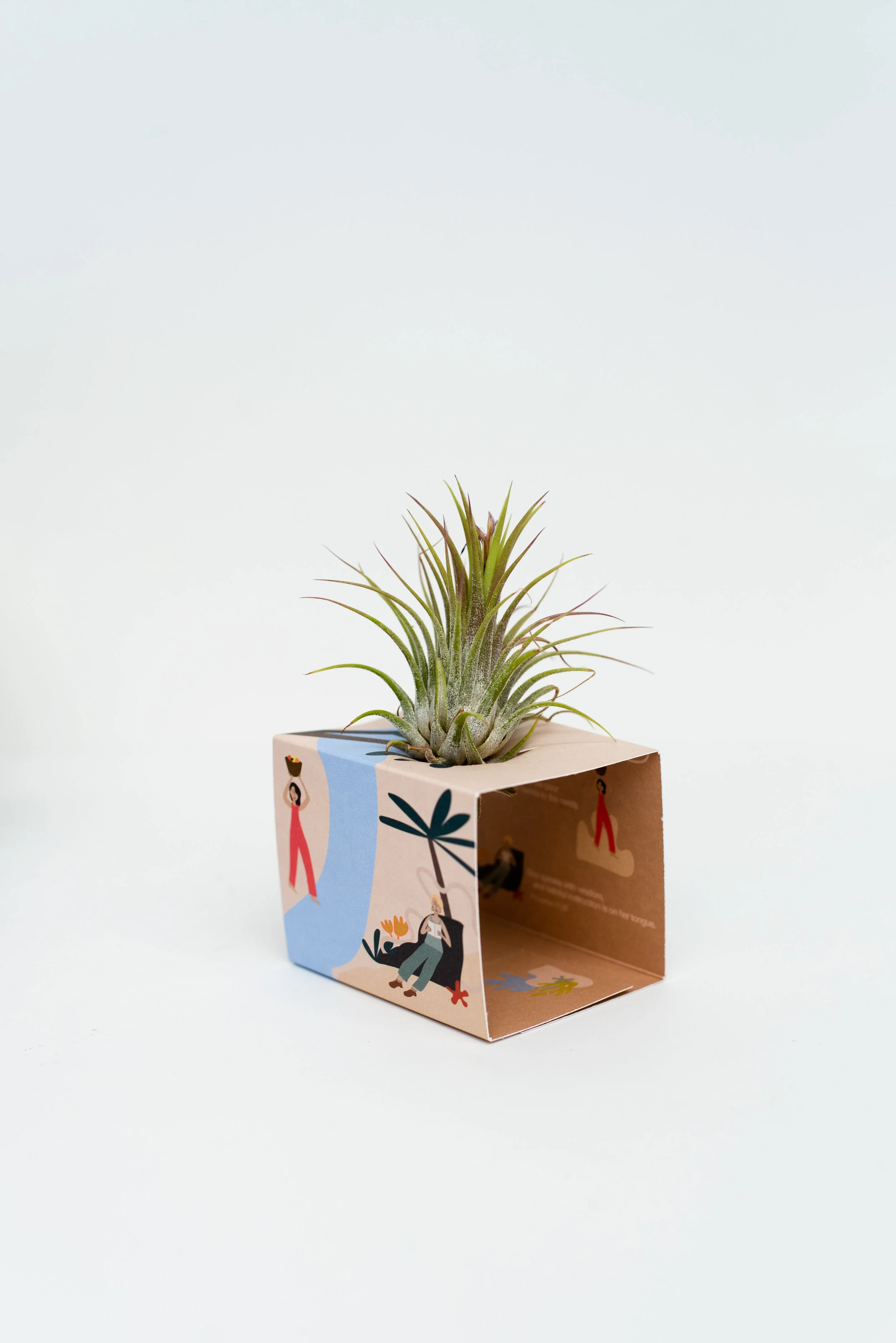 BrittanyByrne-MothersDay-AirplantStands-women--9446.jpg