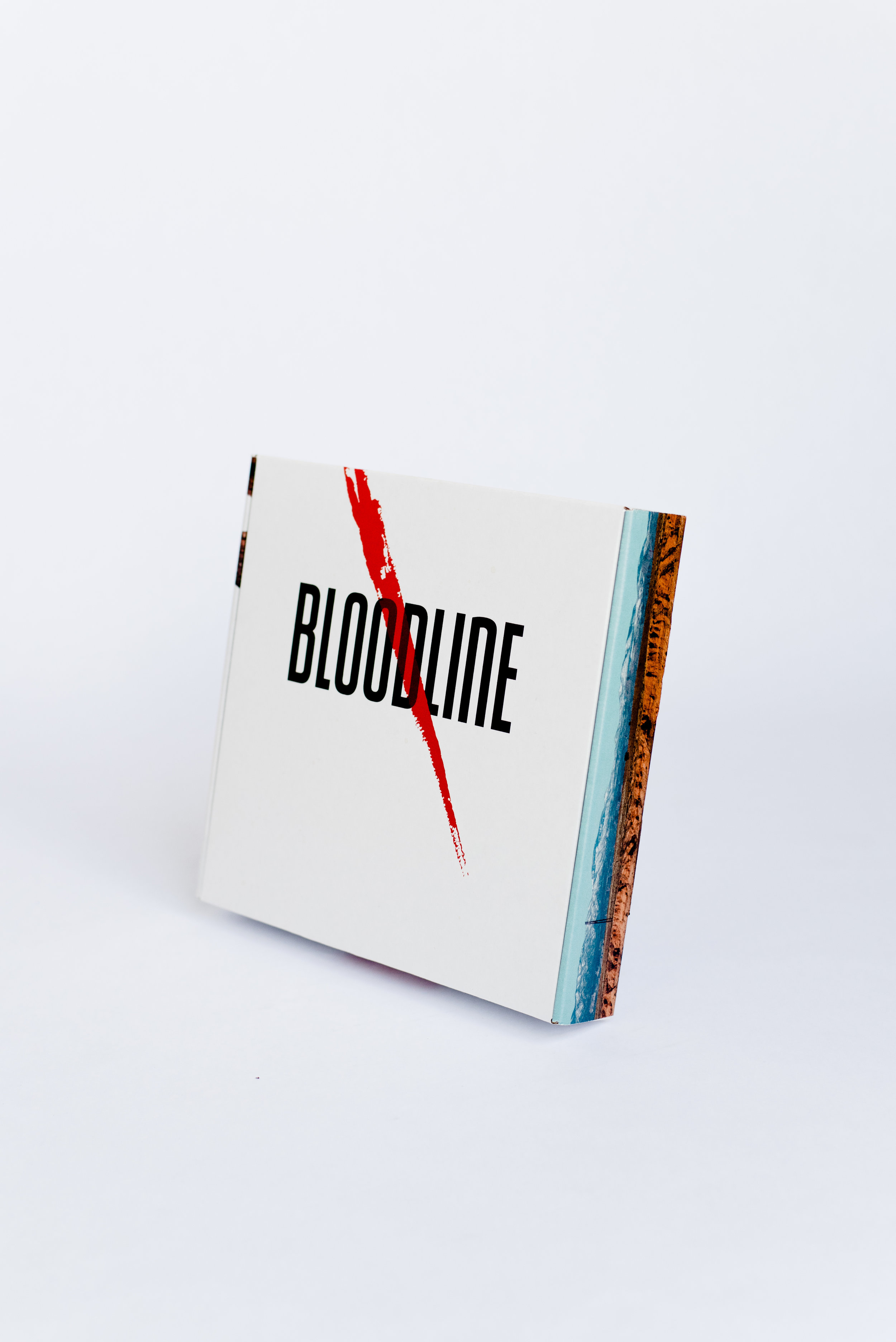 Packaging-Bloodline-SkipHeitzig-Book-BrittanyByrne-Church--0053.jpg