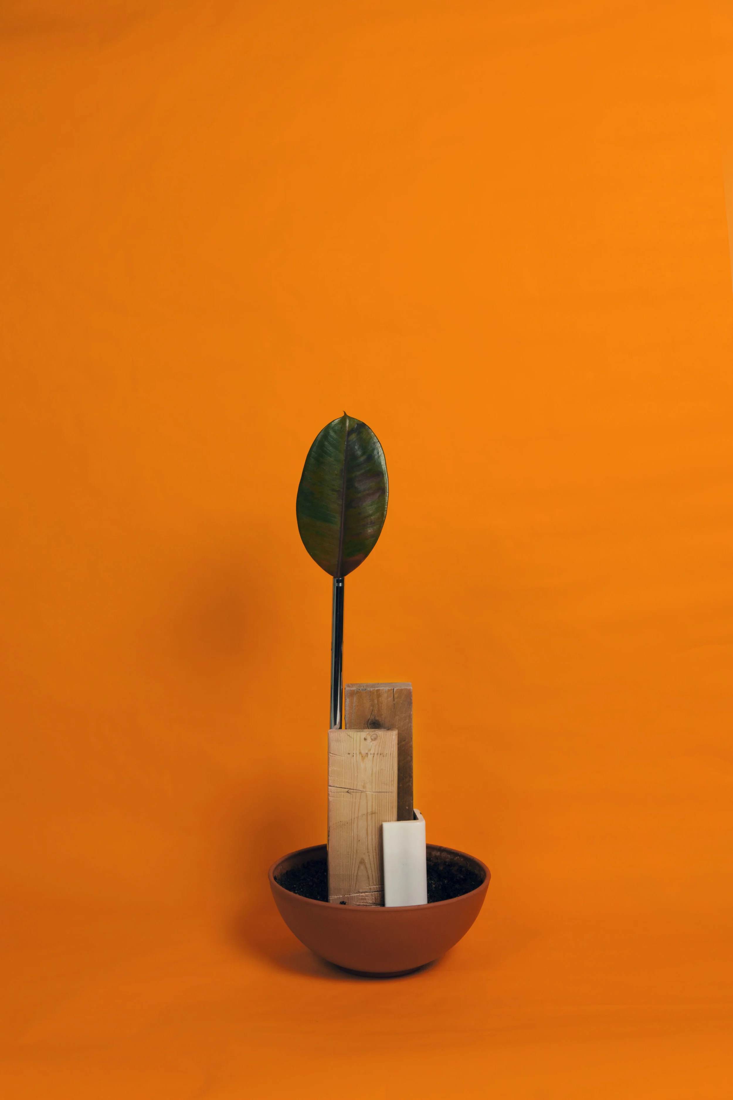 Art direction for image - final image made by Al Banguilan