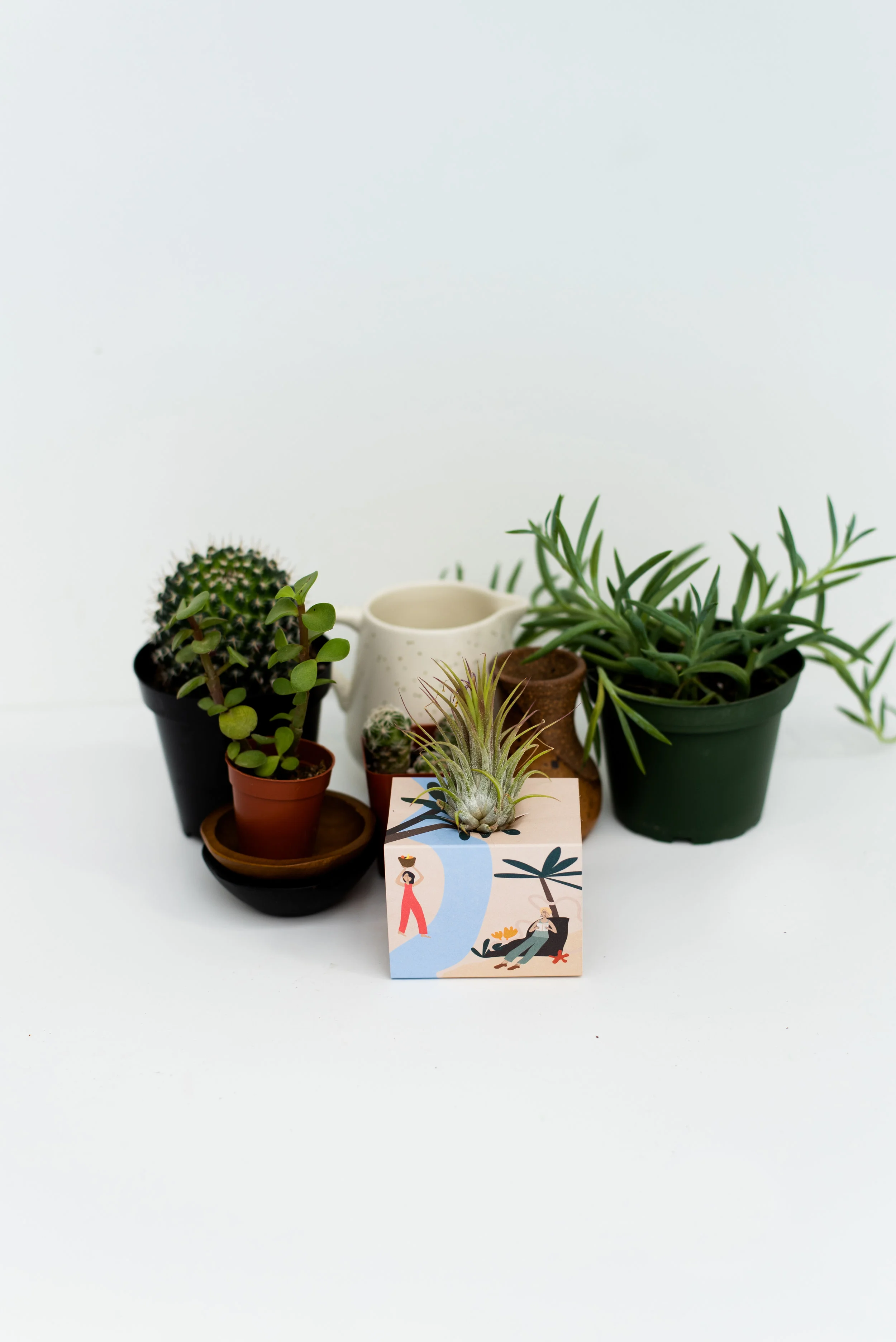 BrittanyByrne-MothersDay-AirplantStands-women--9334-3.jpg
