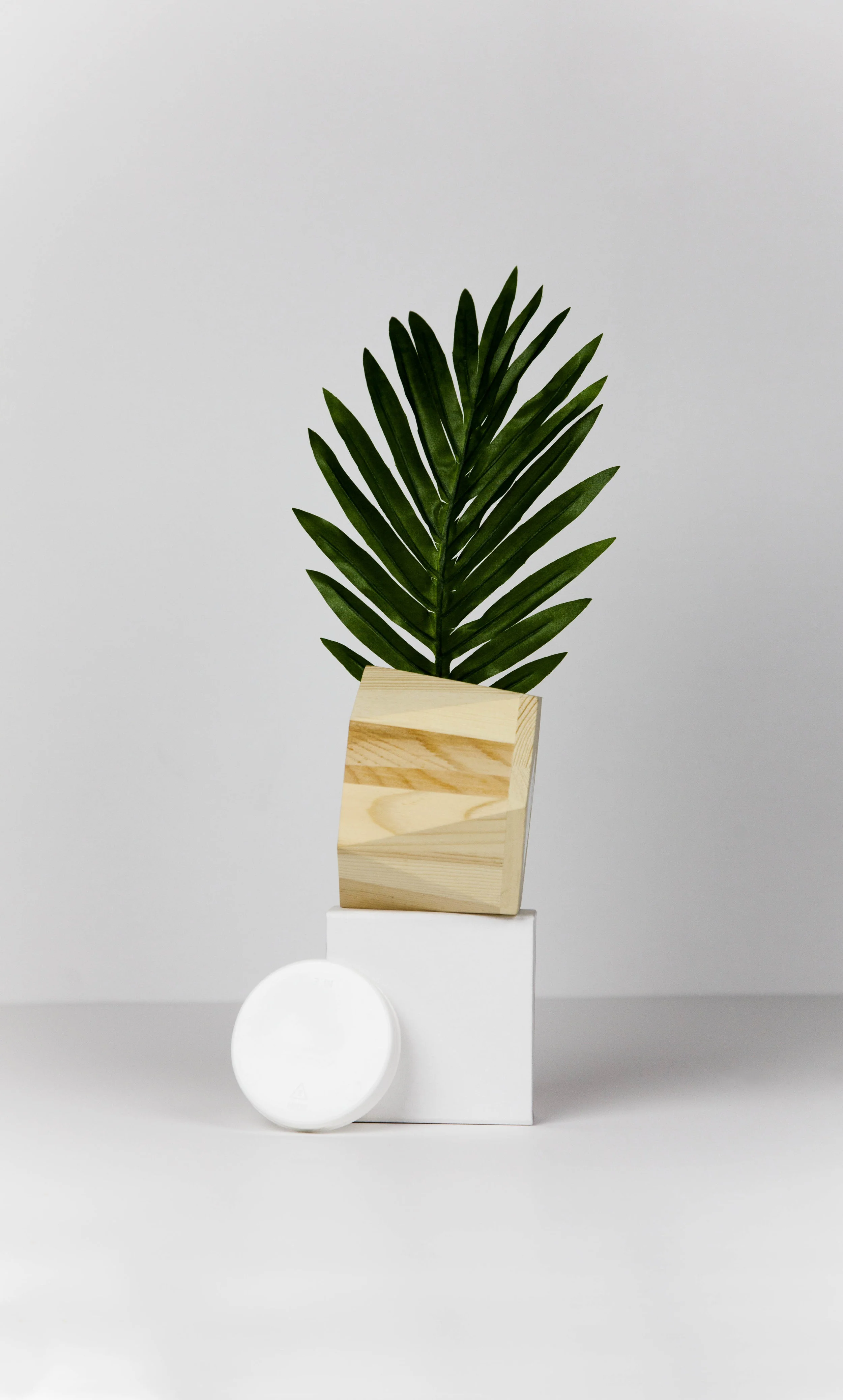 Plant-Styling-Studio-BrittanyByrne-3-small.jpg