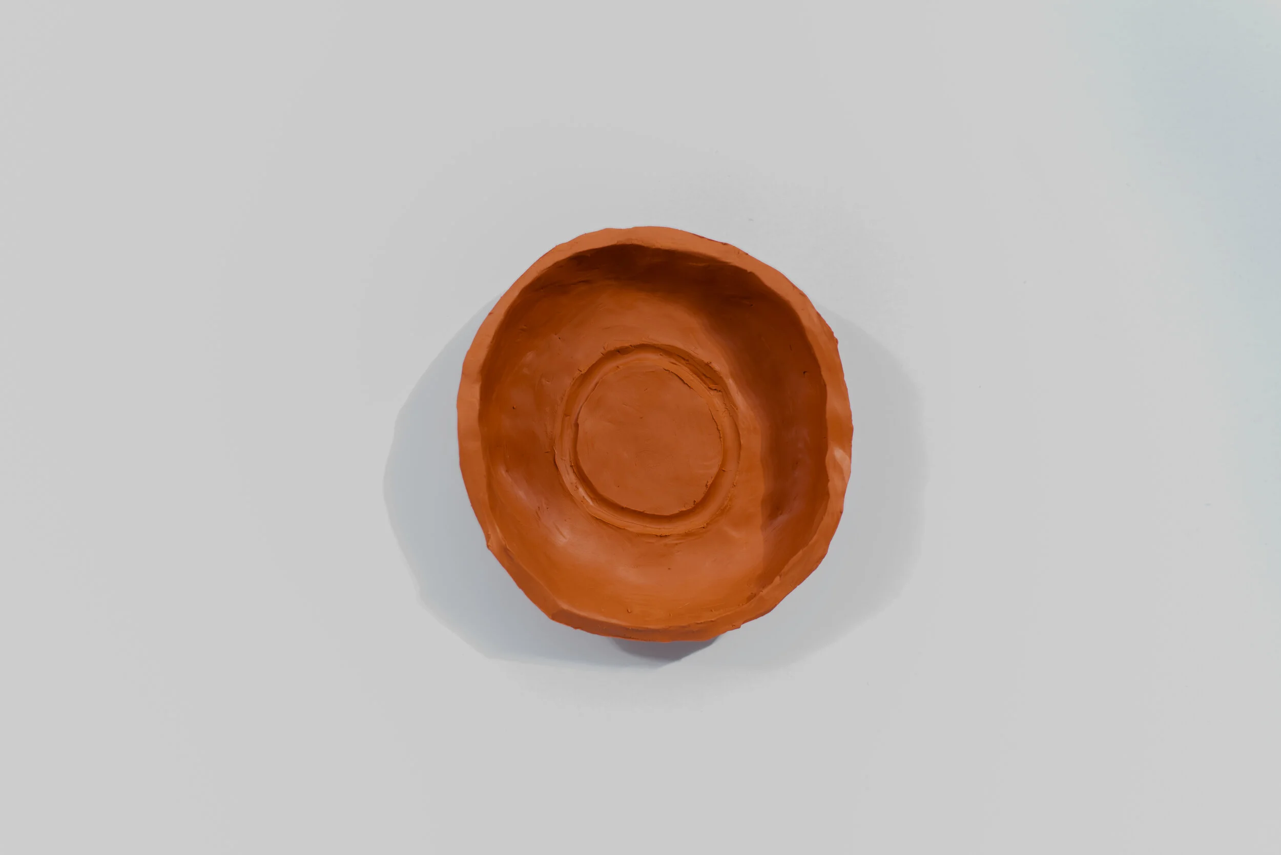 Earth Dream Love, 2019