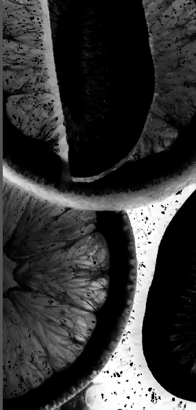 Screen Shot 2022-02-21 at 12.37.42 PM.png