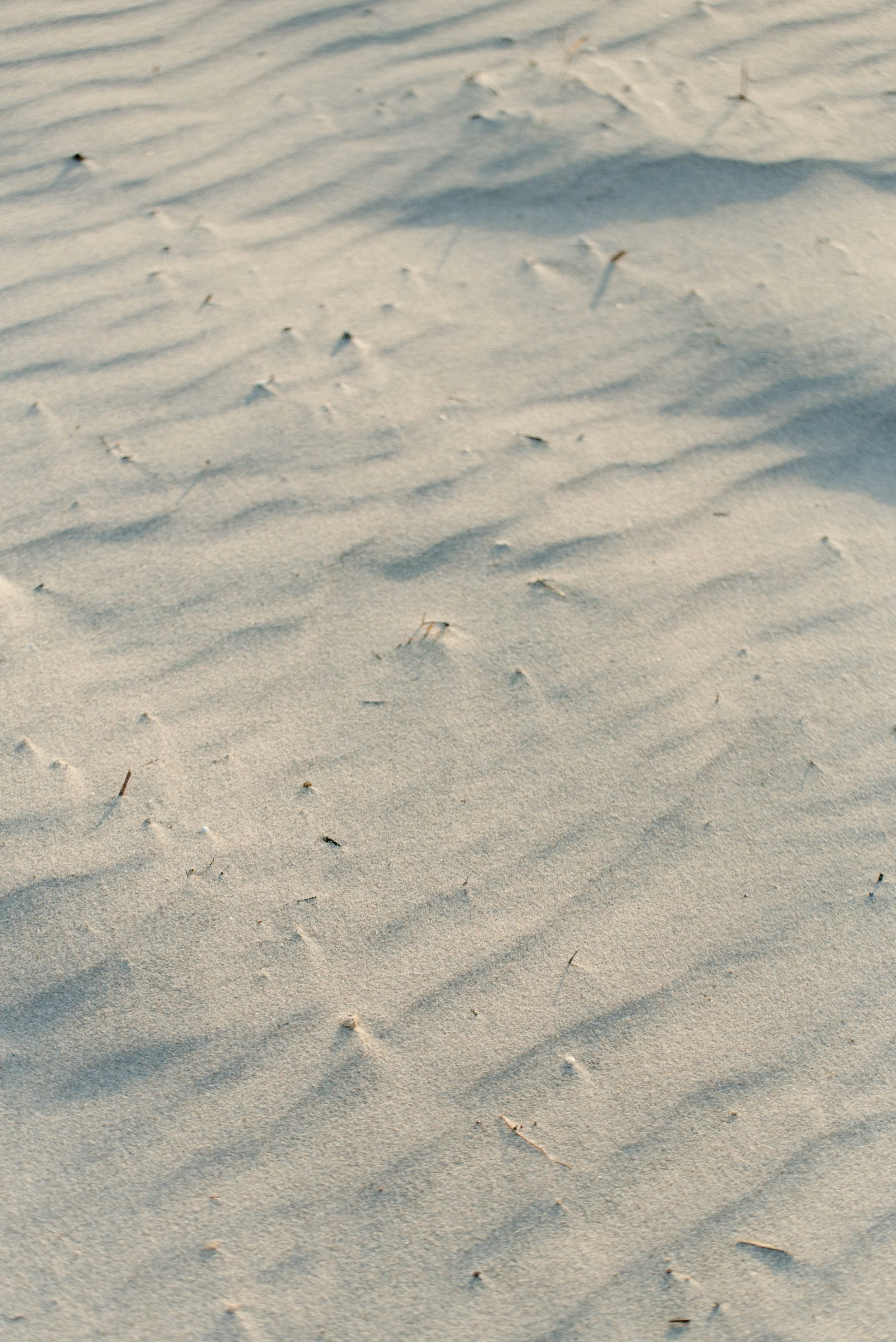 church photography art ocean light beach models birttany byrne 2.jpg
