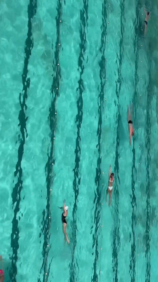bondi icebergs video brittany byrne.gif