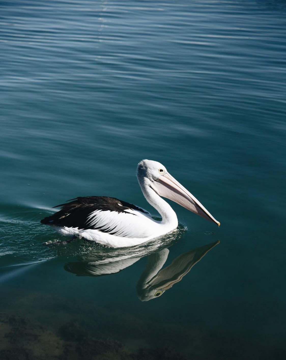 Screen Shot 2023-09-08 at 7.43.43 AM.png