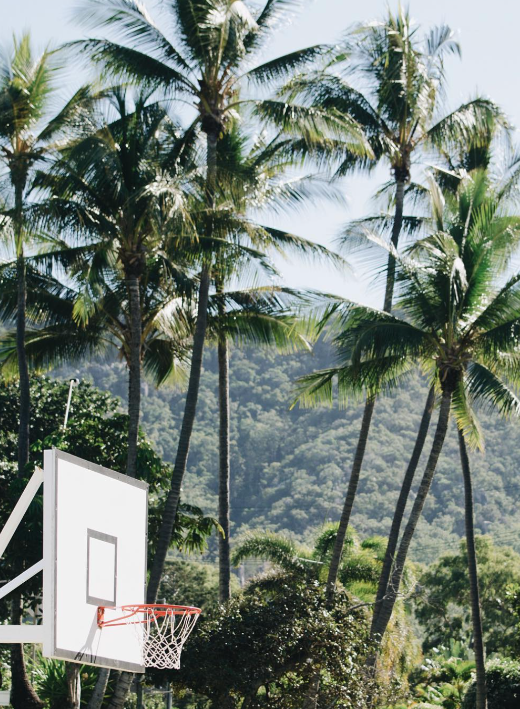 Screen Shot 2023-09-08 at 7.45.04 AM.png