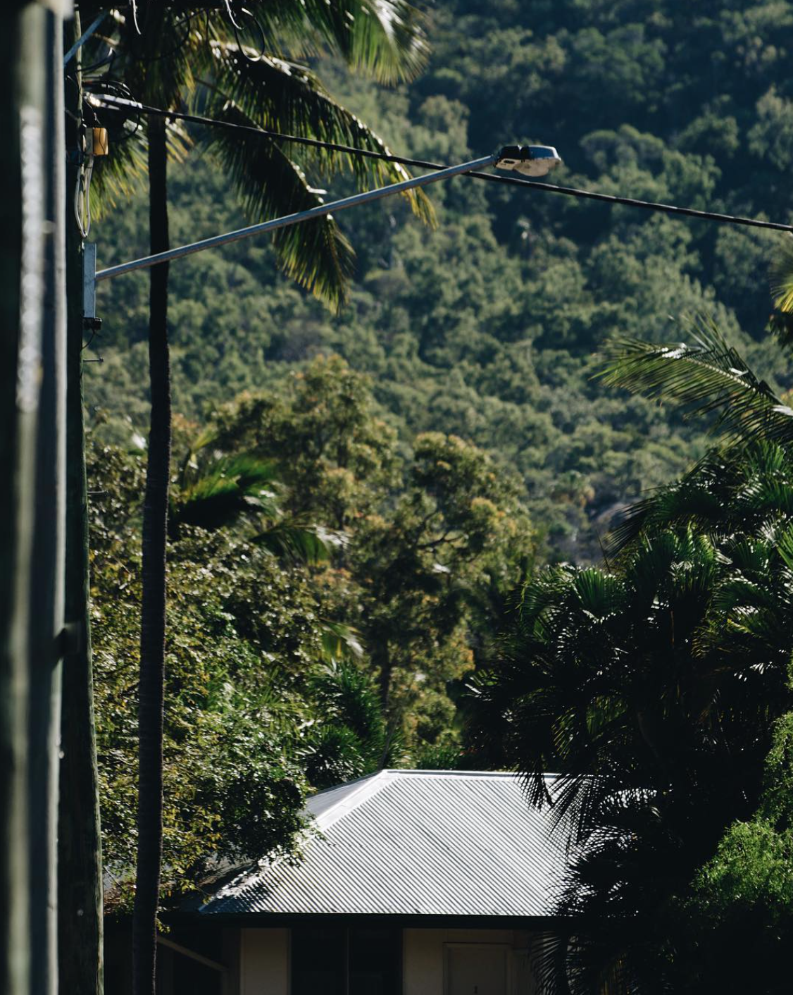 Screen Shot 2023-09-08 at 7.45.13 AM.png