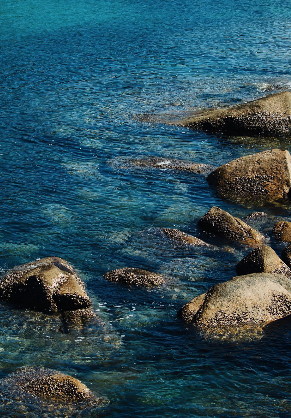 Screen Shot 2023-09-08 at 7.45.29 AM.png