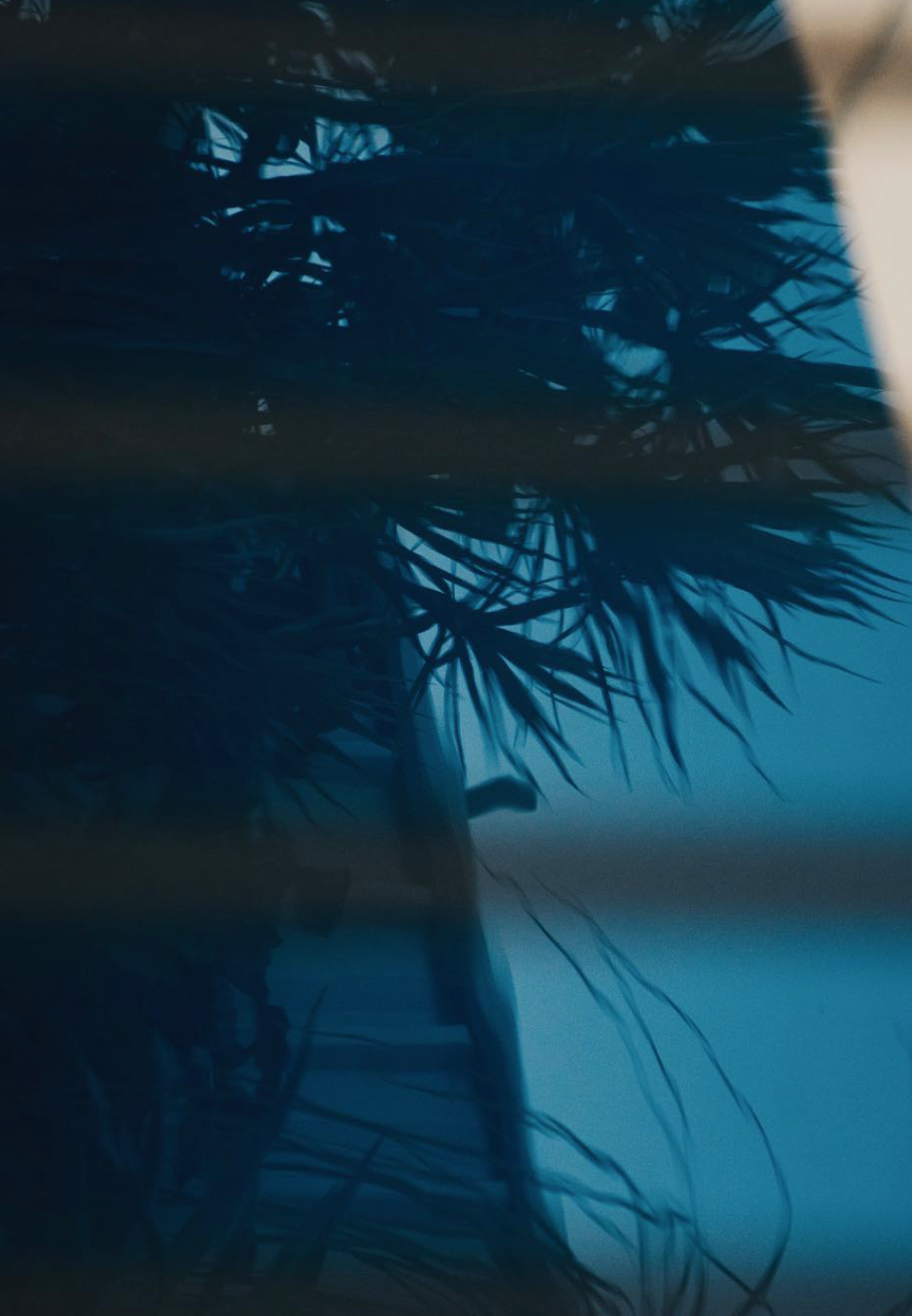 Screen Shot 2023-09-08 at 7.46.58 AM.png