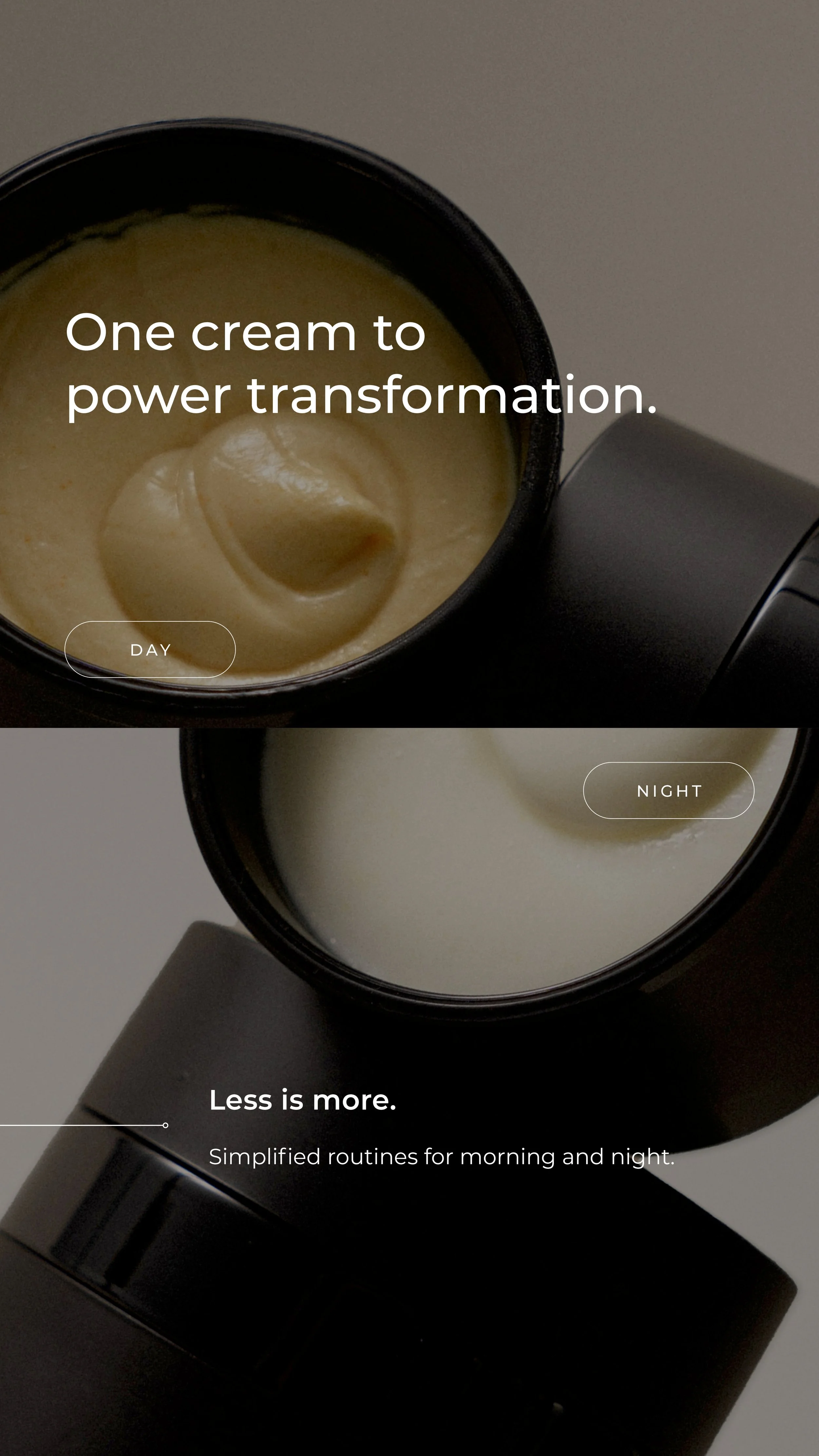 infographic general story2.jpg