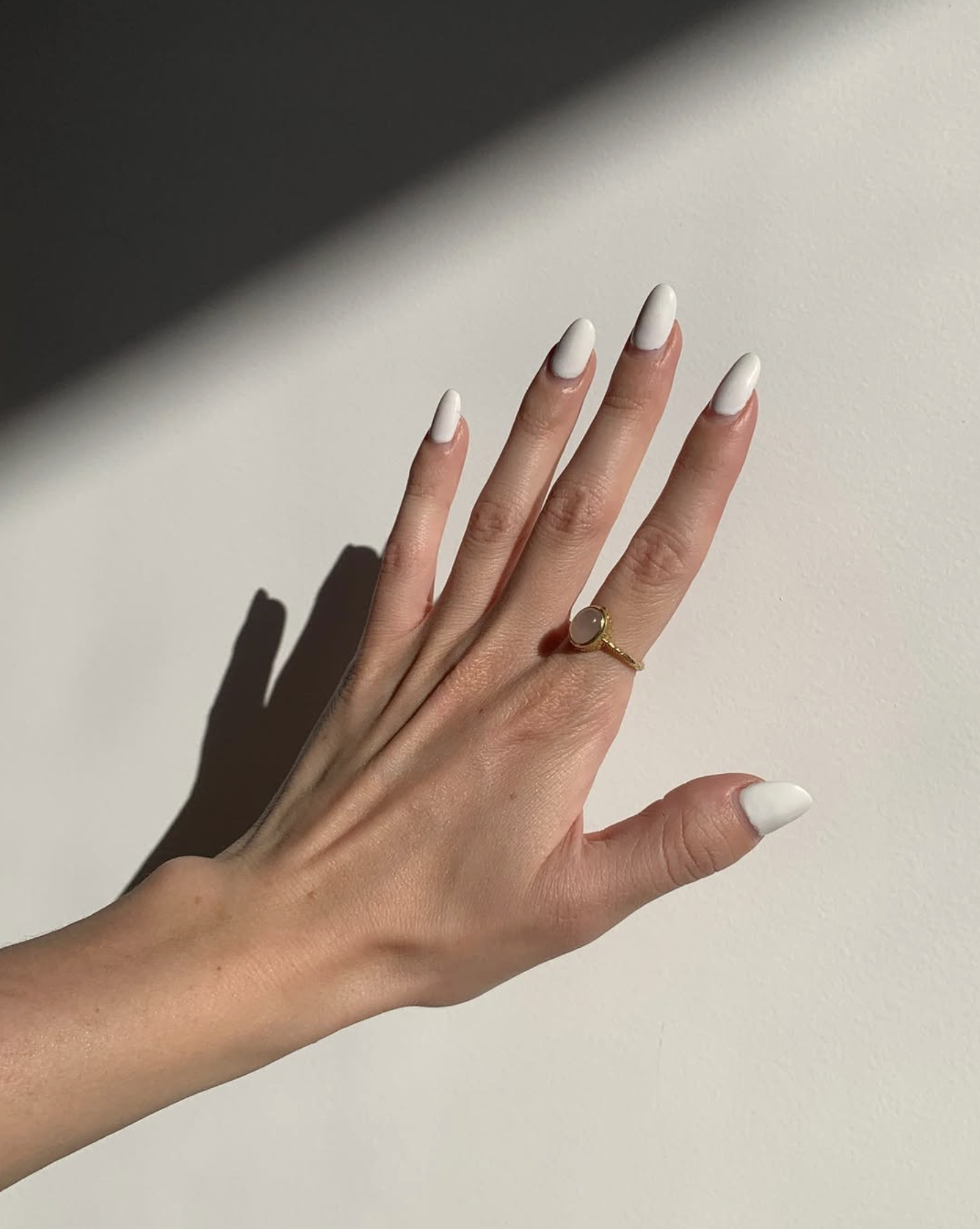 Screenshot 2026-03-26 at 4.49.22 pm.png