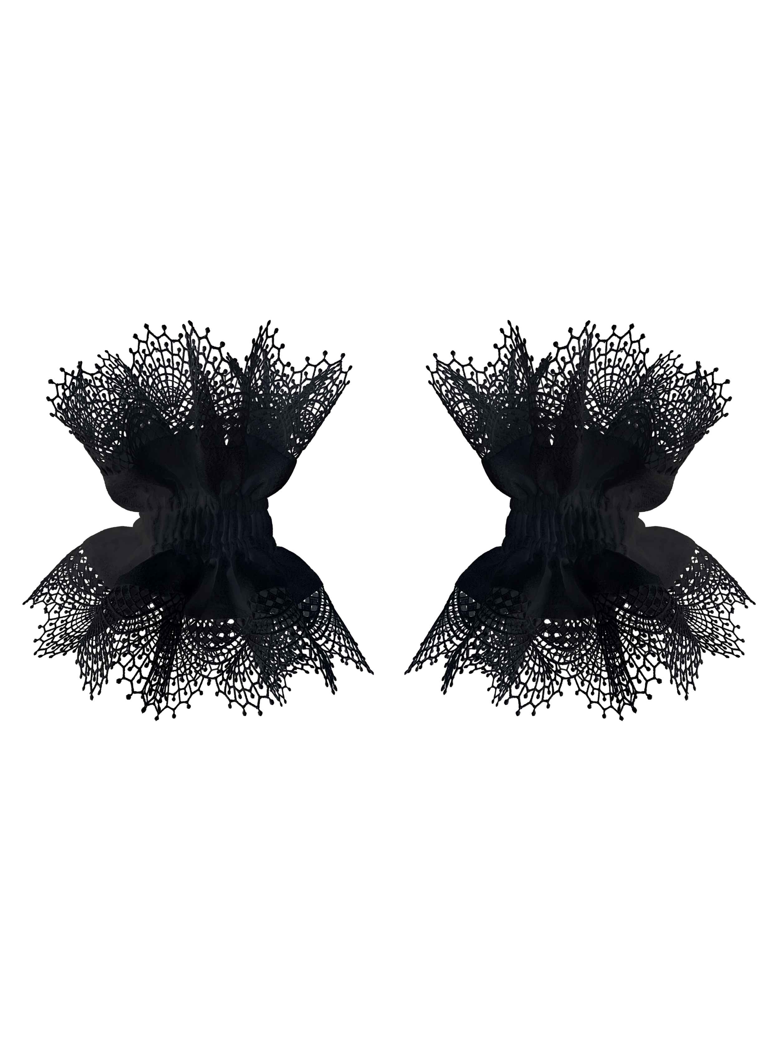 IMG_0100 (1).png