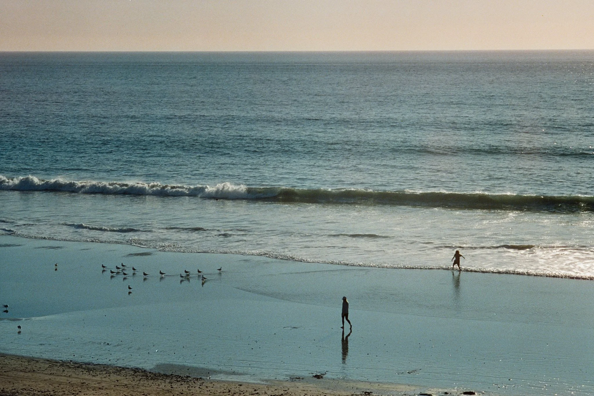 20250113_M6_Cinestill400D_Beach_3.jpg
