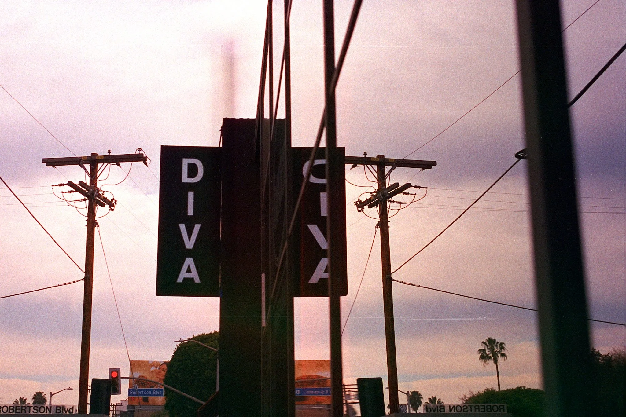 20250106_Cinestill400D_M6_Reflection_4.jpg