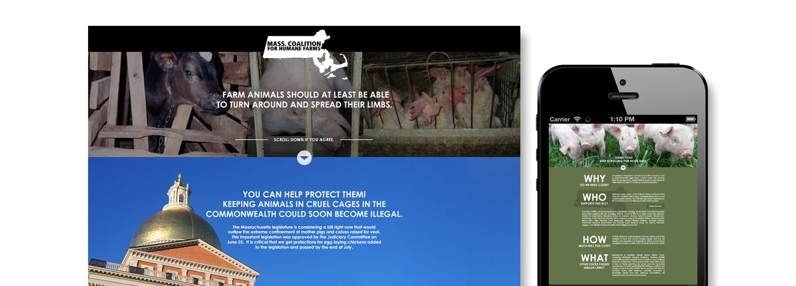 HSUS.jpg