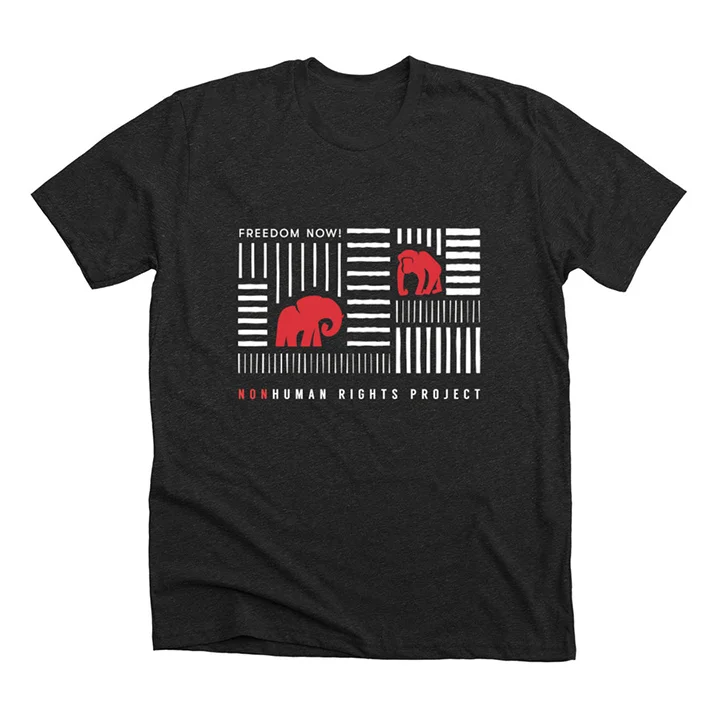 TSHIRT.jpg