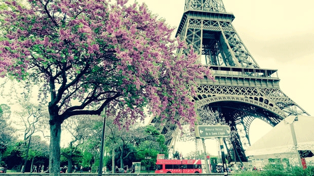 Paris.jpeg