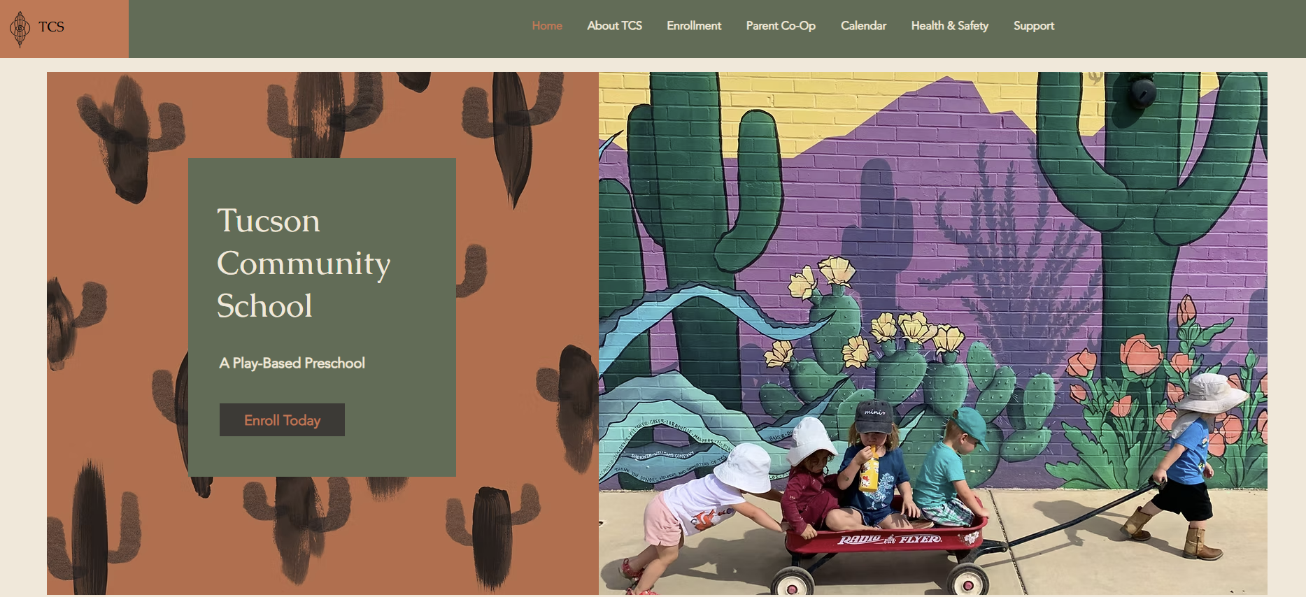 tcs homepage.png