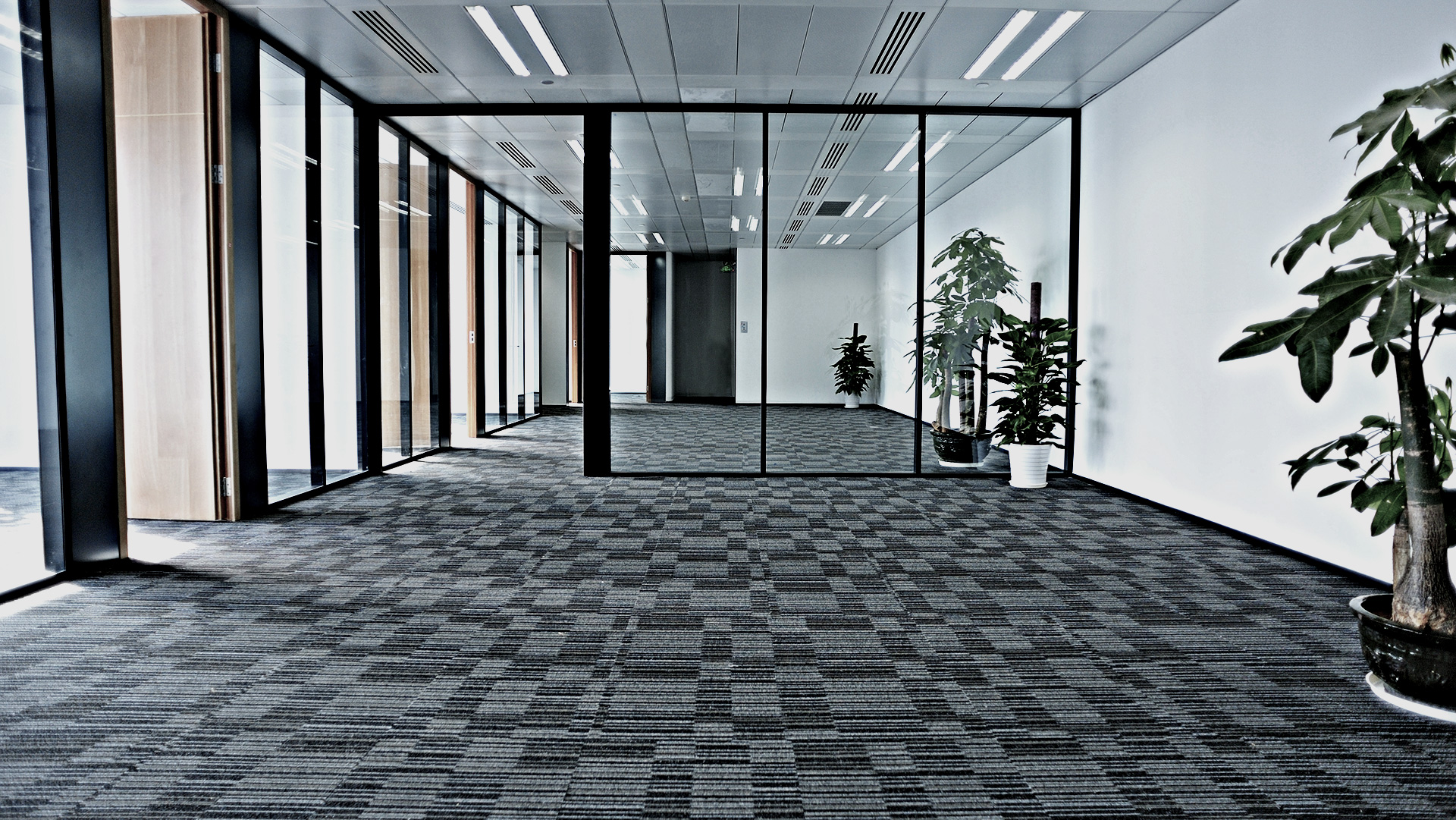 CARPET CLEANING We are able to carry out all types of carpet cleaning from periodical office carpet cleans to one off deep carpet cleans. 