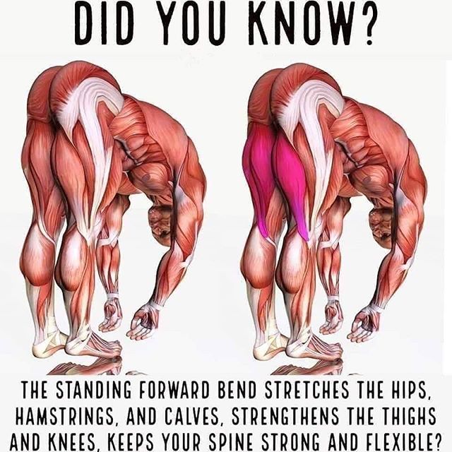 Did you know?
.
The schedule next week is booking up fast! Find your next appointment online, see link in bio!
.
#stretching #budawellness #budahealth #massage #massagetherapist #yoga #southaustin #localbuda #local #supportlocalbusinesses