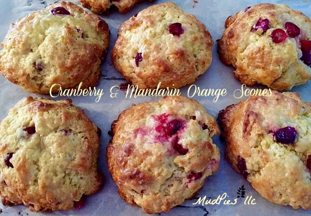 Morning Delights Mudpies Llc