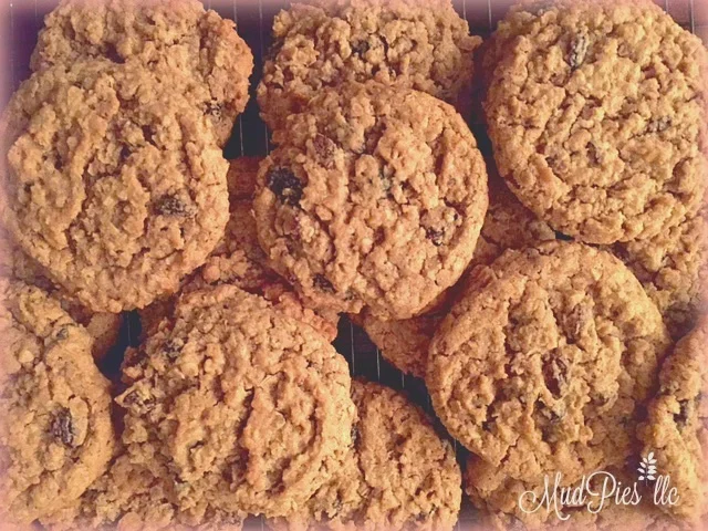 oatmeal raisin spice