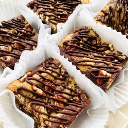 turtle_gf_brownie_428.jpg