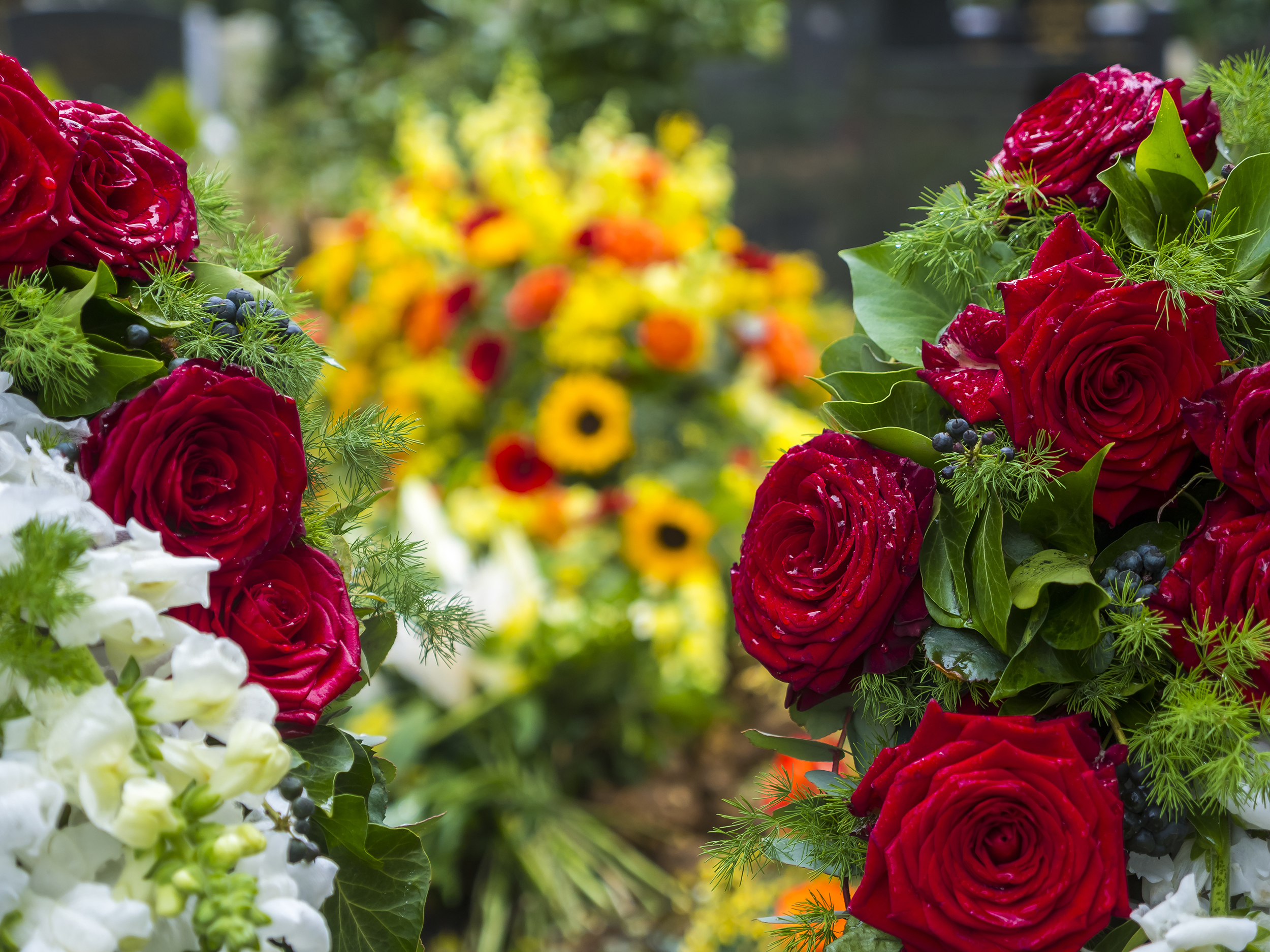 AdobeStock_105853350.jpeg