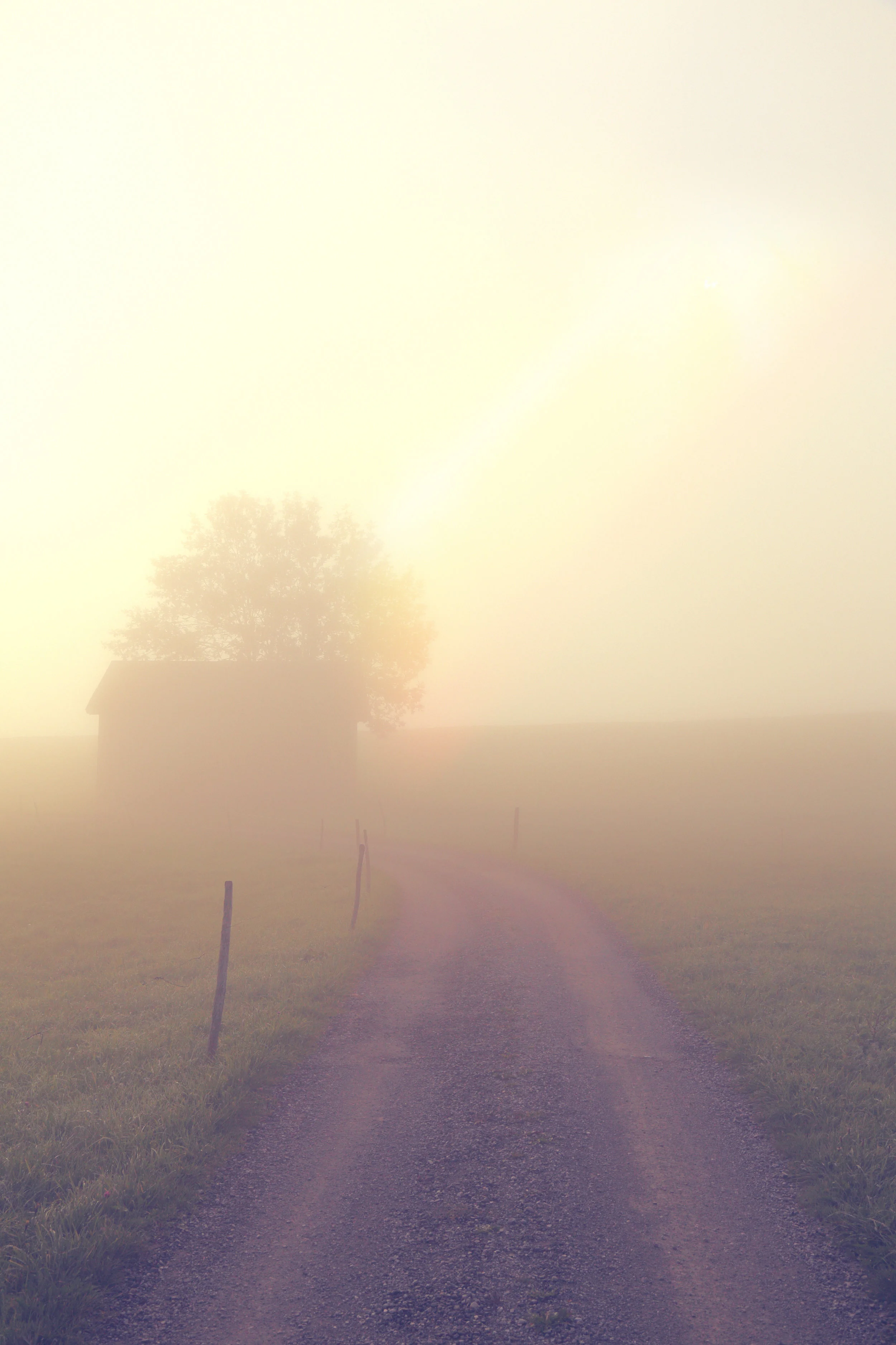 AdobeStock_92594905.jpeg