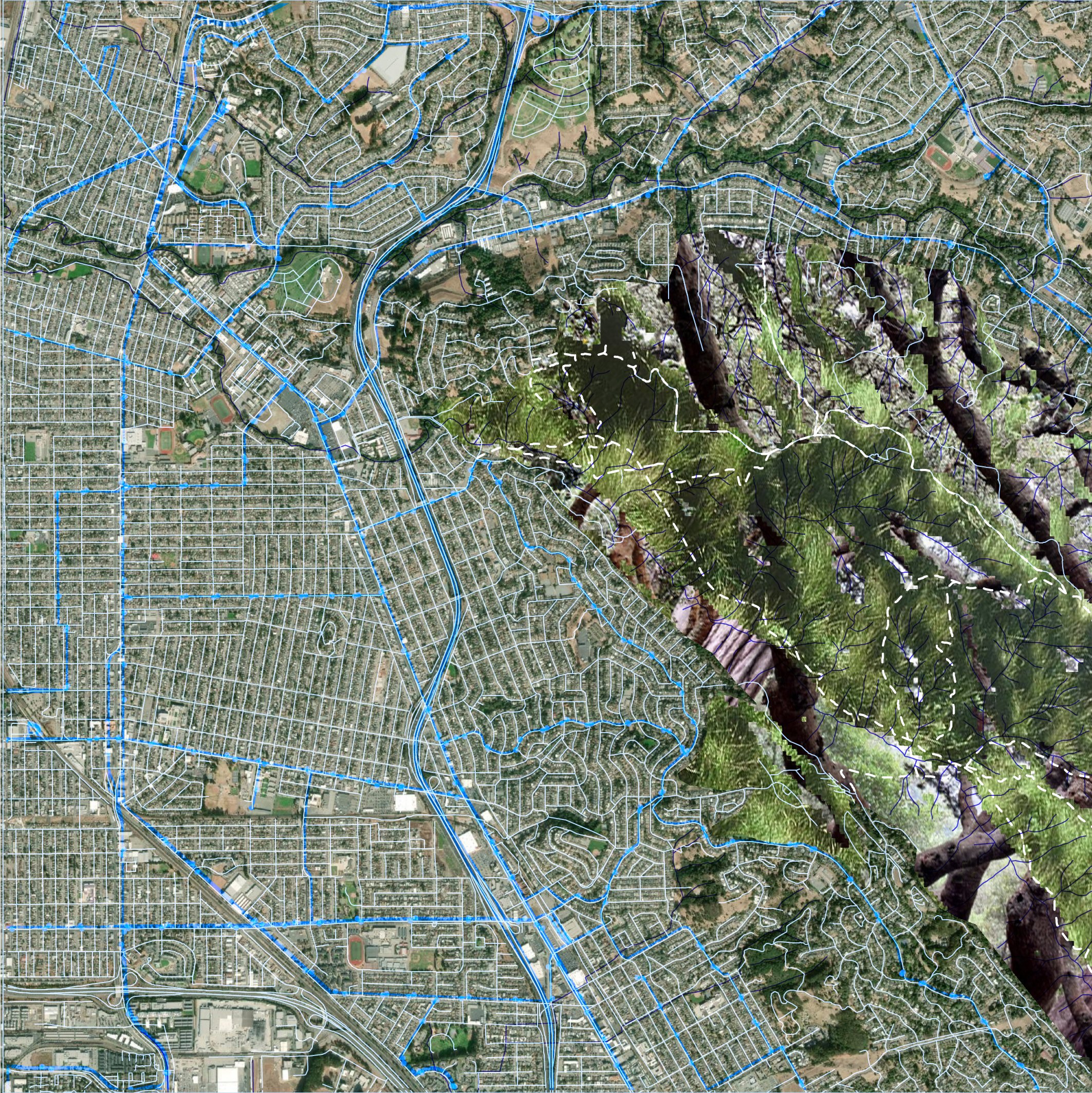 VEGETATIONMAP_WINTERSPRING-01-01.jpg