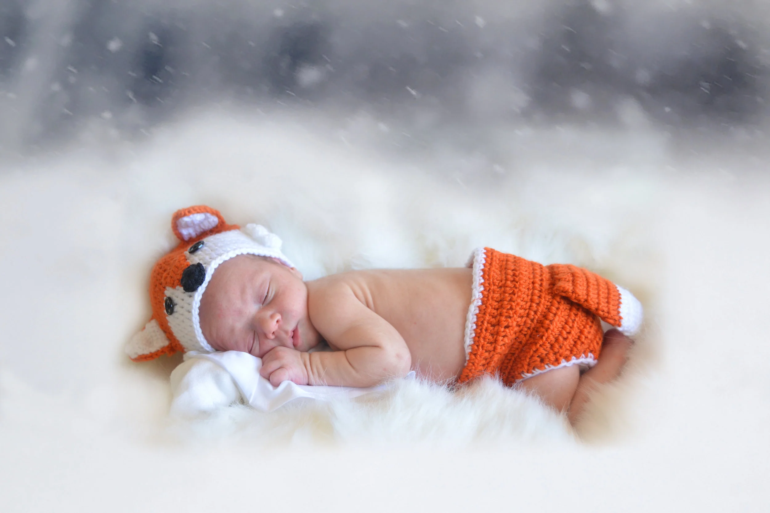 fox_inthe_snow-1.jpg
