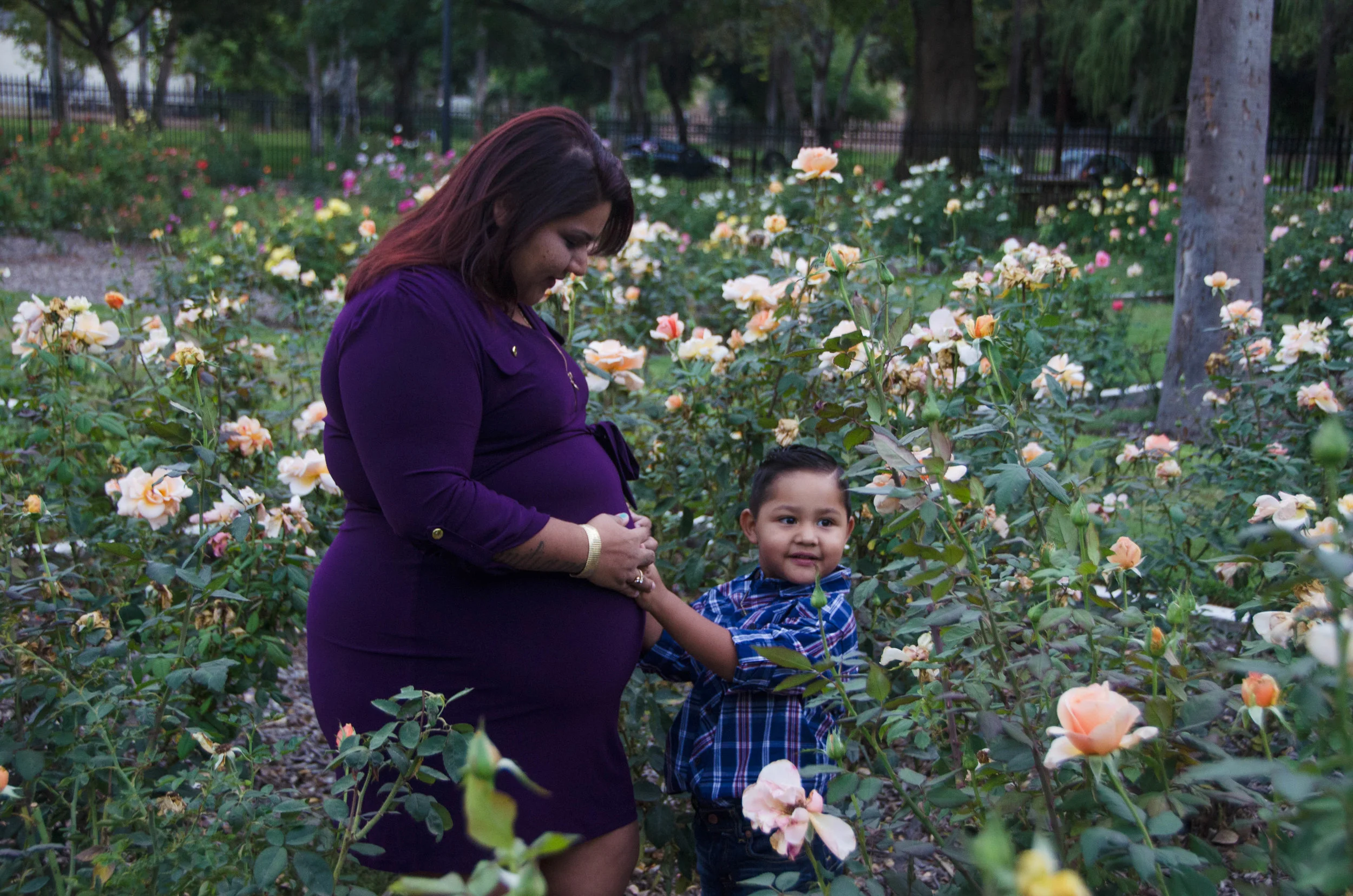 DSC_0063-1 -sweet.jpg