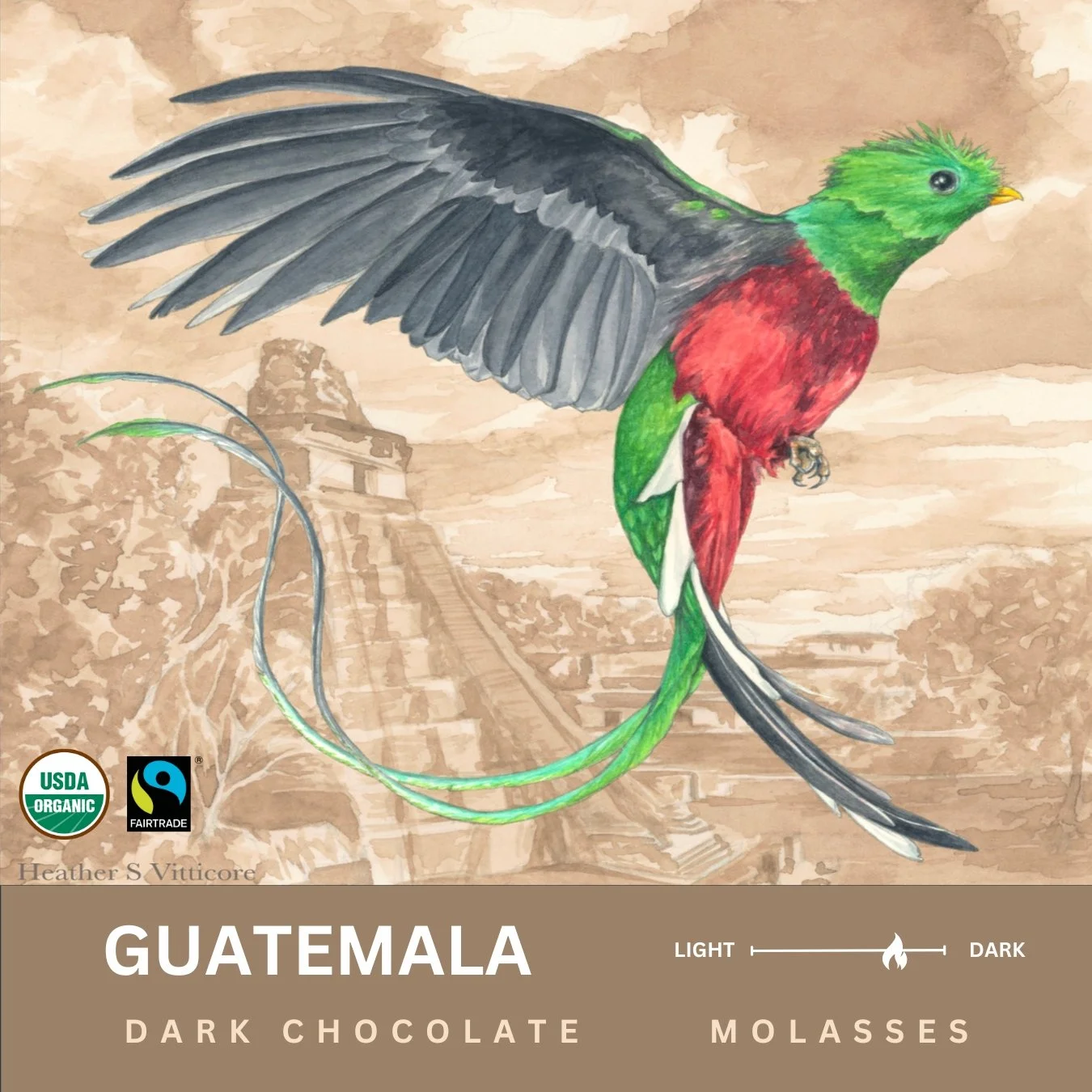 67bf1ae2839d3ffa76c534e6_Guatemala2.jpg